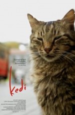 Kedi